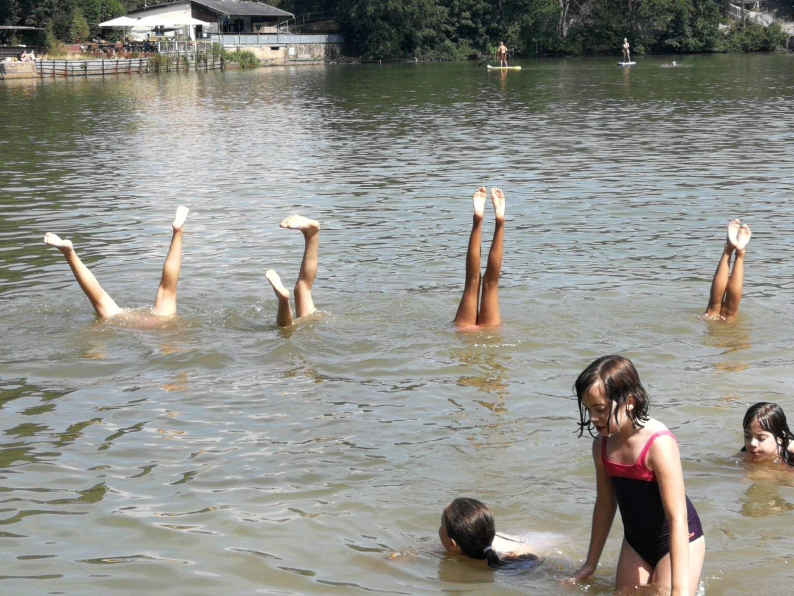 placeholder image-sq