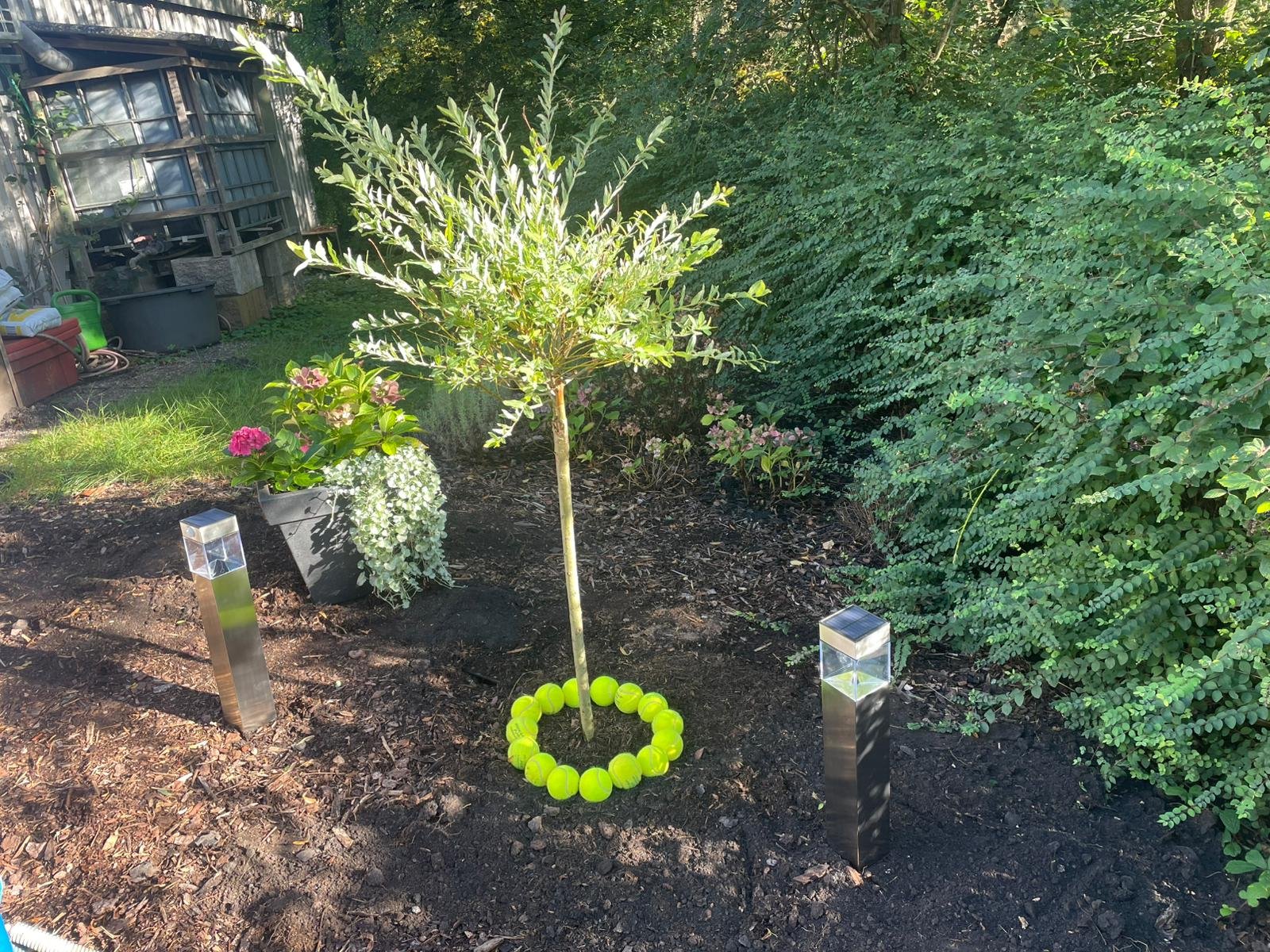 placeholder image-sq